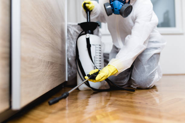 Best Pest Inspection Near Me  in Lake Ketchum, WA