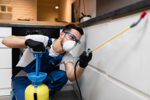 Best Rat Extermination Near Me  in Lake Ketchum, WA