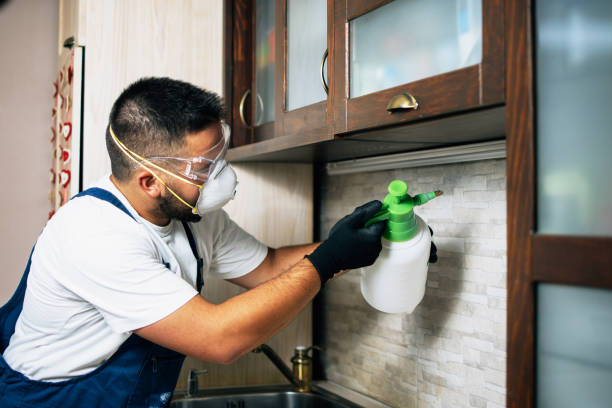 Best Best Pest Control Companies  in Lake Ketchum, WA