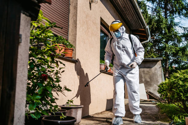Professional Pest Control in Lake Ketchum, WA