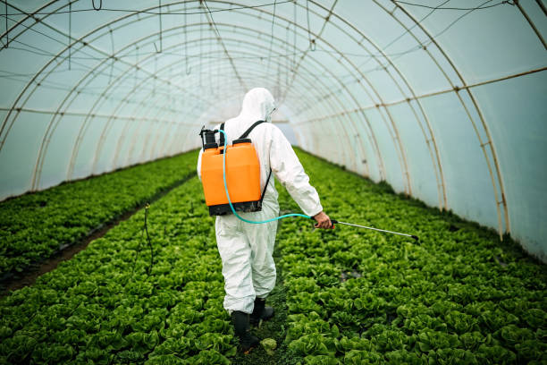 Best Pest Control for Businesses  in Lake Ketchum, WA