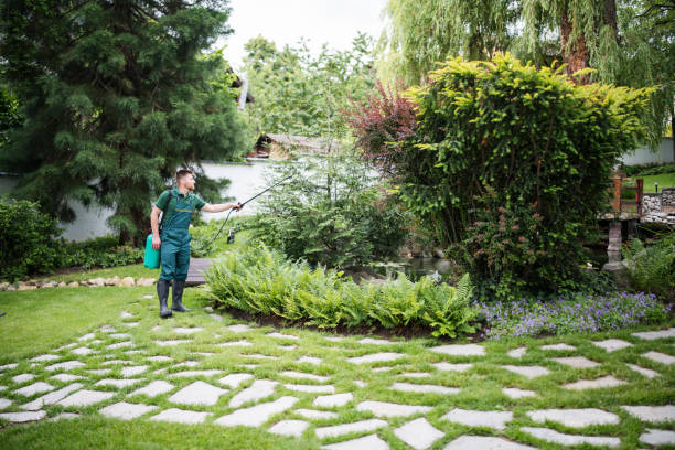 Best Insect Control  in Lake Ketchum, WA