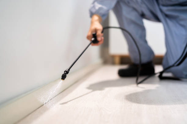 Best Termite Control Services  in Lake Ketchum, WA
