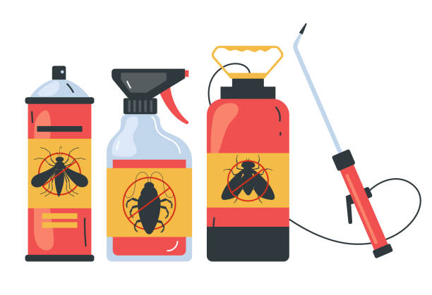 Best Affordable Pest Control Services  in Lake Ketchum, WA