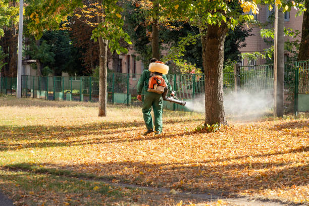 Best Pest Removal Services  in Lake Ketchum, WA