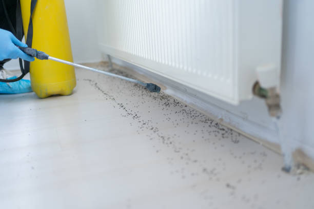 Best Residential Pest Control  in Lake Ketchum, WA