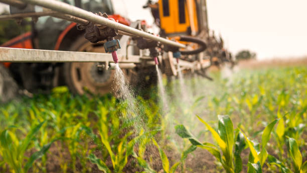 Best Pest Removal Services  in Lake Ketchum, WA